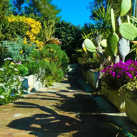 Silvia Al Mare دْيانو مارينا