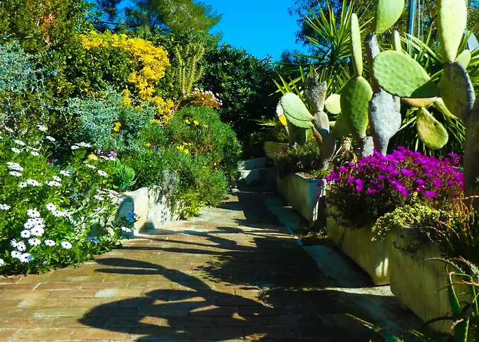 Silvia Al Mare دْيانو مارينا